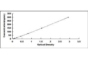 Typical standard curve (Ferritin ELISA Kit)