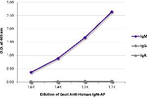 ELISA plate was coated with purified human IgM, IgG, and IgA. (Ziege anti-Human IgM (Heavy Chain) Antikörper (Alkaline Phosphatase (AP)))