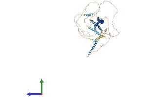 Protein Structure (PS) image for Angiomotin Like 2 (AMOTL2) (AA 1-779) protein (His tag) (ABIN7552209)