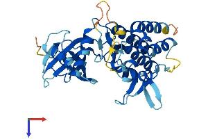PDIK1L Protein (AA 1-341) (His tag)