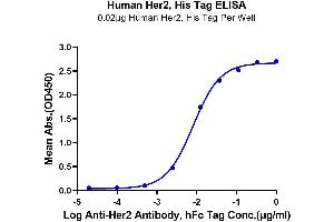 Immobilized Human Her2, His Tag at 0. (ErbB2/Her2 Protein (AA 23-652) (His-Avi Tag))