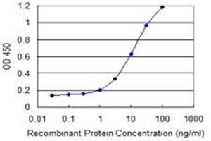 ELISA image for anti-Cholinergic Receptor, Nicotinic, alpha 5 (Neuronal) (CHRNA5) (AA 38-131) antibody (ABIN560370)