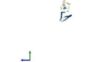 Protein Structure (PS) image for Coiled-Coil Domain Containing 65 (CCDC65) (AA 1-493) protein (His tag) (ABIN7559924)