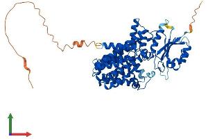 Protein Structure (PS) image for Phosphatidylinositol Glycan Anchor Biosynthesis, Class B (PIGB) (AA 1-554) protein (His tag) (ABIN7550796)
