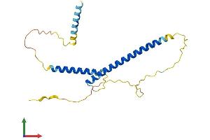 Protein Structure (PS) image for MAX Dimerization Protein 4 (MXD4) (AA 1-209) protein (His tag) (ABIN7557637)