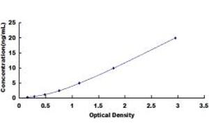 Typical standard curve (TTBK2 ELISA Kit)