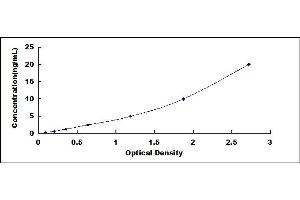 Typical standard curve (Dynamin 1 ELISA Kit)