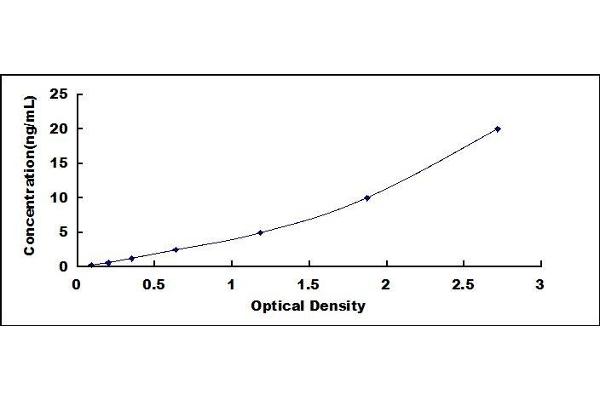 Dynamin 1 ELISA Kit