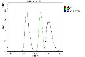 Flow Cytometry analysis of A431 cells using anti-ARNTL2 antibody (ABIN6719445). (ARNTL2 Antikörper  (AA 461-575))
