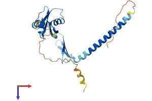 CIDEC Protein (AA 1-239) (His tag)