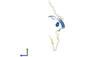 Protein Structure (PS) image for Prefoldin Subunit 2 (PFDN2) (AA 1-154) protein (His tag) (ABIN7550644)