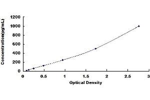 Oncostatin M ELISA Kit