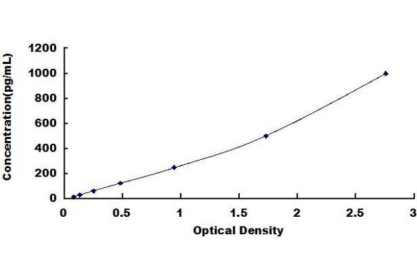 Oncostatin M ELISA Kit