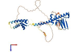 DP1 Protein (AA 1-410) (His tag)