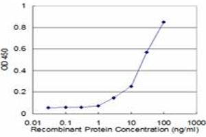 Detection limit for recombinant GST tagged PSMB10 is approximately 3ng/ml as a capture antibody. (PSMB10 Antikörper  (AA 1-273))