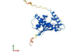 Protein Structure (PS) image for BET3 Like (BET3L) (AA 1-181) protein (His tag) (ABIN7557384)