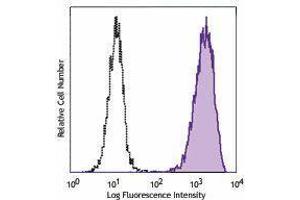 Flow Cytometry (FACS) image for anti-Epidermal Growth Factor Receptor (EGFR) antibody (ABIN2664939) (EGFR Antikörper)