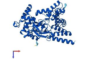 SMYD3 Protein (AA 1-428) (His tag)