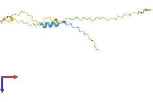 X Antigen Family, Member 3 (XAGE3) (AA 1-111) protein (His tag)