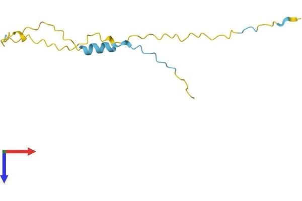 X Antigen Family, Member 3 (XAGE3) (AA 1-111) protein (His tag)