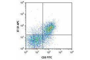 Flow Cytometry (FACS) image for anti-CD28 (CD28) antibody (APC) (ABIN2658578) (CD28 Antikörper  (APC))