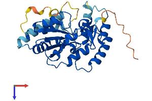 SULT4A1 Protein (AA 1-284) (His tag)