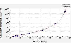 Typical Standard Curve (RABEP2 ELISA Kit)