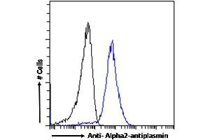 (ABIN334343) Flow cytometric analysis of paraformaldehyde fixed A431 cells (blue line), permeabilized with 0. (alpha 2 Antiplasmin Antikörper  (Internal Region))