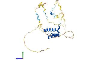 Protein Structure (PS) image for Homeobox C4 (HOXC4) (AA 1-264) protein (His tag) (ABIN7548455)