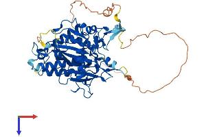 ADAT1 Protein (AA 1-502) (His tag)