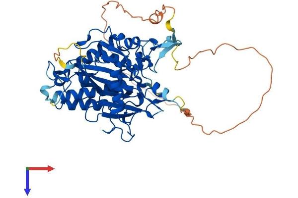 ADAT1 Protein (AA 1-502) (His tag)