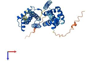AlphaFold protein structure predicition of Human Recombinant CNTD1 Protein, UniprotID Q8N815