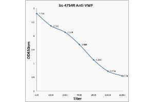 Antigen: 0. (VWF Antikörper  (AA 351-450))