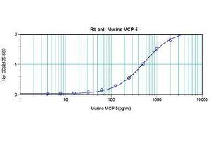 Image no. 3 for anti-Chemokine (C-C Motif) Ligand 12 (Ccl12) antibody (ABIN465846) (Ccl12 Antikörper)