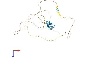 SRSF4 Protein (AA 1-489) (His tag)