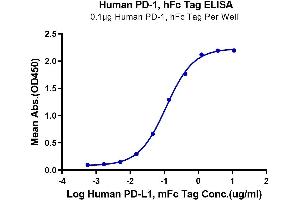 Immobilized Human PD-1, hFc Tag at 1 μg/mL (100 µL/Well). (PD-1 Protein (AA 25-167) (Fc Tag))