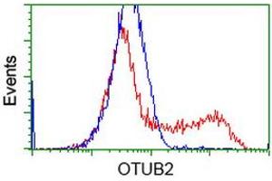 HEK293T cells transfected with either RC209650 overexpress plasmid (Red) or empty vector control plasmid (Blue) were immunostained by anti-OTUB2 antibody (ABIN2453408), and then analyzed by flow cytometry.