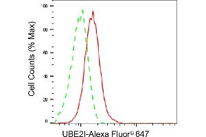 Flow cytometric analysis of UBE2I expression in HepG2 cells using UBE2I antibody (ABIN7800747), 1:2,000). (Rekombinanter UBE2I Antikörper)