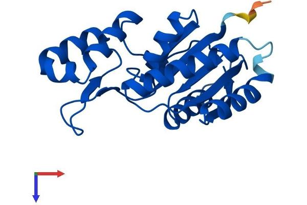 SSU72 Protein (AA 1-194) (His tag)