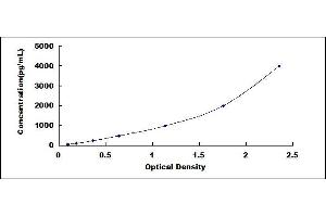 Typical standard curve (CRP ELISA Kit)