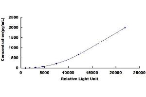 ELISA image for Tumor Necrosis Factor (Ligand) Superfamily, Member 11 (TNFSF11) CLIA Kit (ABIN1081845)