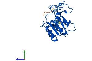 Protein Structure (PS) image for DCMP Deaminase (DCTD) (AA 1-178) protein (His tag) (ABIN7559502)