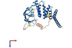 FKBPL Protein (AA 1-347) (His tag)