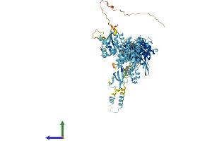 Protein Structure (PS) image for MutS Homolog 5 (MSH5) (AA 1-833) protein (His tag) (ABIN7561724)