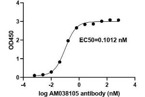SARS-CoV-2 Spike Antibody (clone AM038105) tested by ELISA.