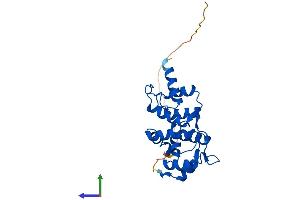 AlphaFold protein structure predicition of Human Recombinant DCUN1D5 Protein, UniprotID Q9BTE7 (DCUN1D5 Protein (AA 1-237) (His tag))