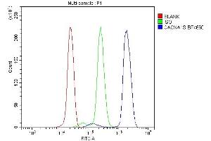 Flow Cytometry analysis of U937 cells using anti-CACNA1S antibody (ABIN7600160).