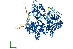 AlphaFold protein structure predicition of Mouse Recombinant Dhx33 Protein, UniprotID Q80VY9