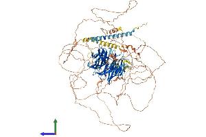 Protein Structure (PS) image for Partner and Localizer of BRCA2 (PALB2) (AA 1-1104) protein (His tag) (ABIN7563691)
