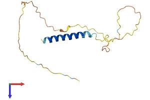 CEND1 Protein (AA 1-149) (His tag)